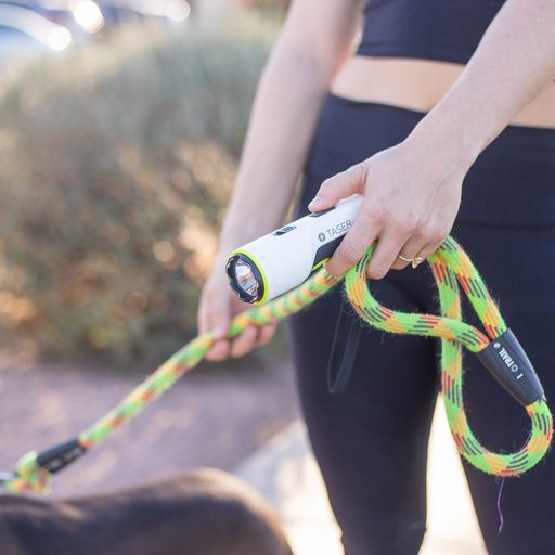 Someone holding TASER StrikeLight 2 Kit – versatile self-defense flashlight featuring a 700-lumen beam, built-in stun capability, audible arc warning, and USB-C charging for everyday protection, walking dog.