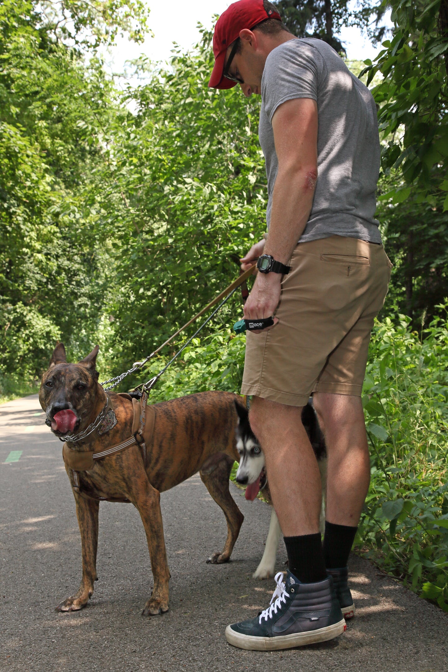 Someone holding Muzzle Dog Repellent Pepper Spray – compact, canine-safe pepper spray with a stream delivery system reaching up to 10 ft, flip-top safety cap, finger-grip design, keychain attachment, and adjustable strap for hands-free use during walks or jogging, and holding dog on leash, in outdoor setting.